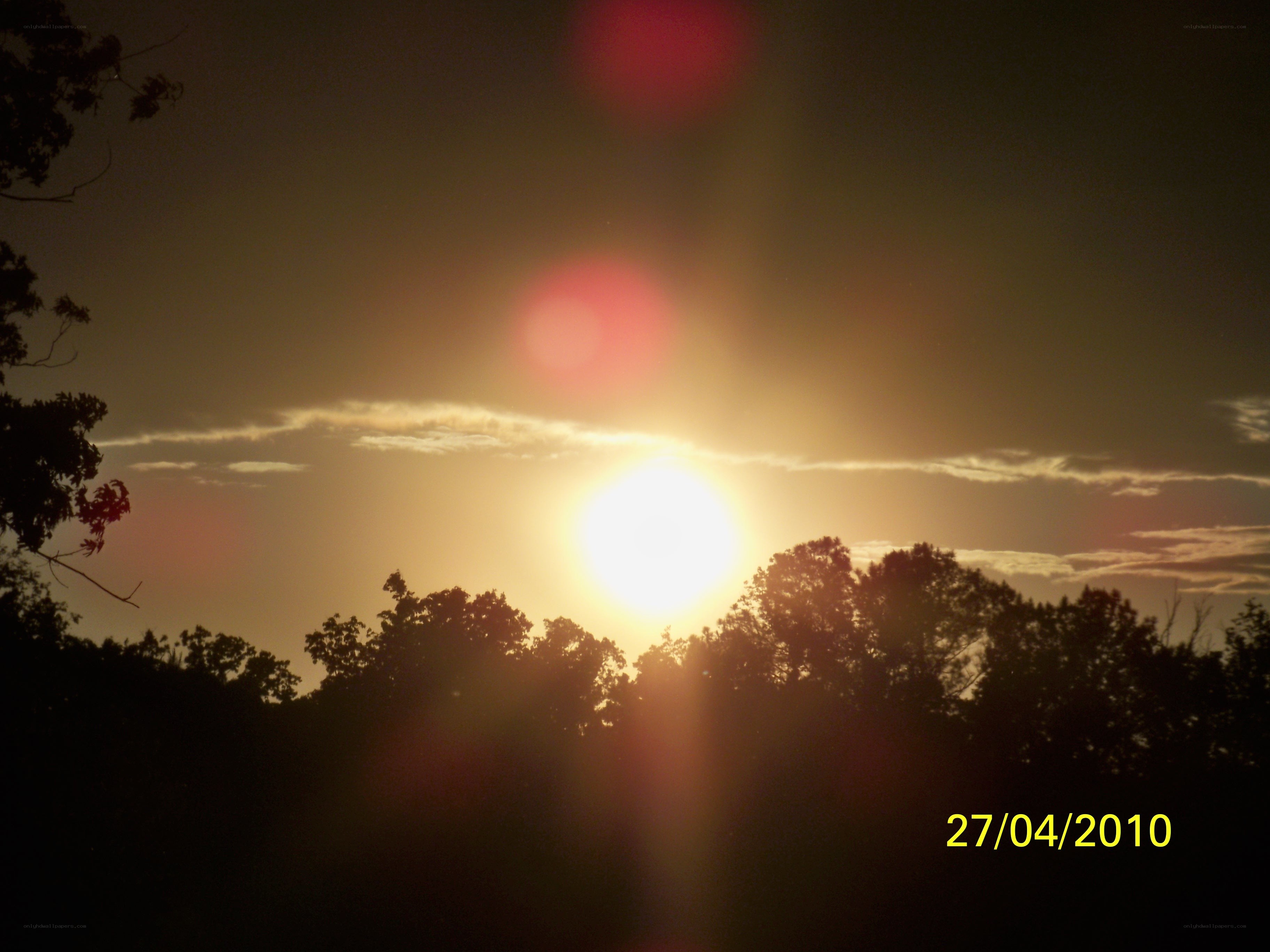 Sunset over trees