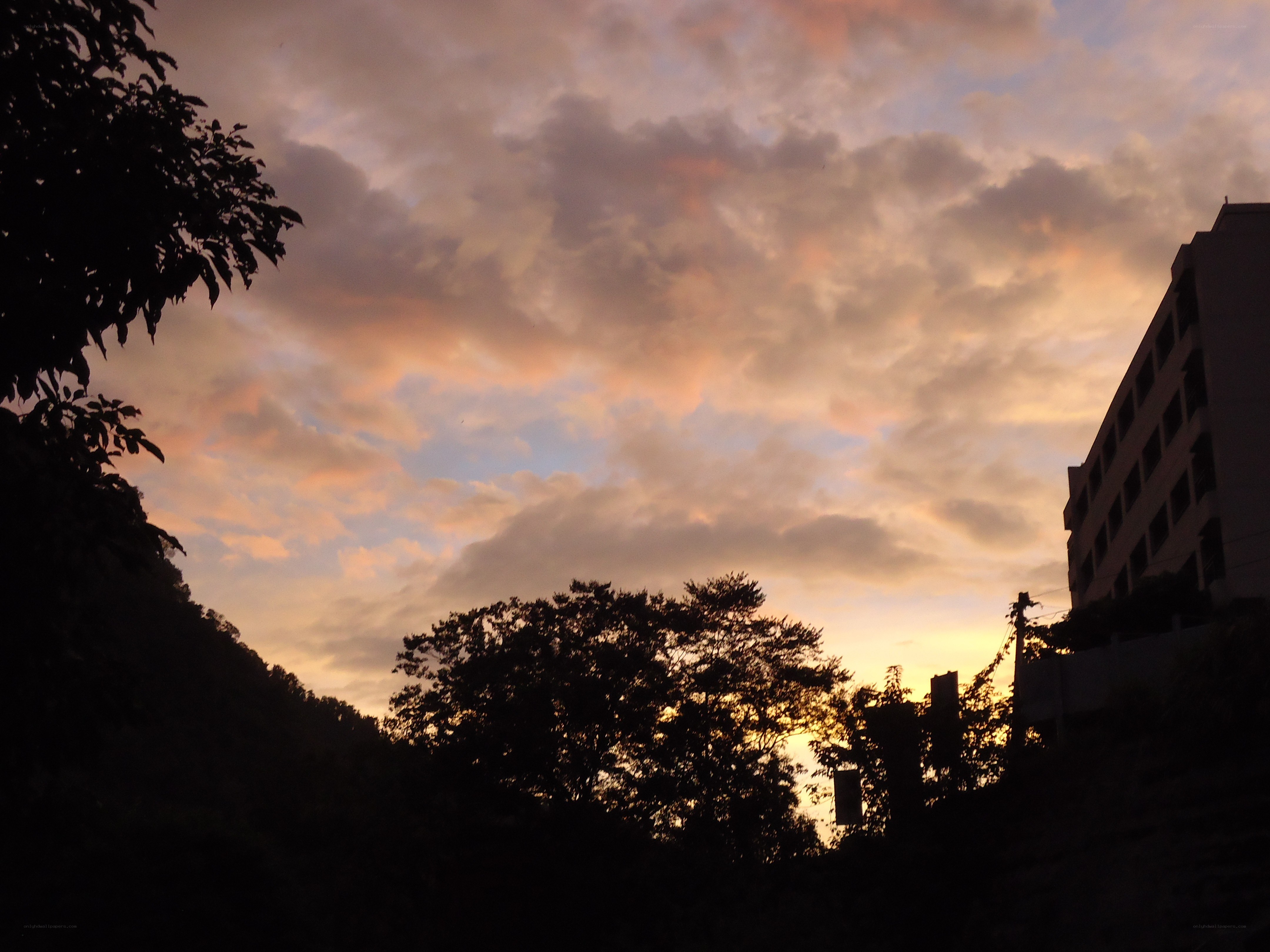 sunset over trees and building