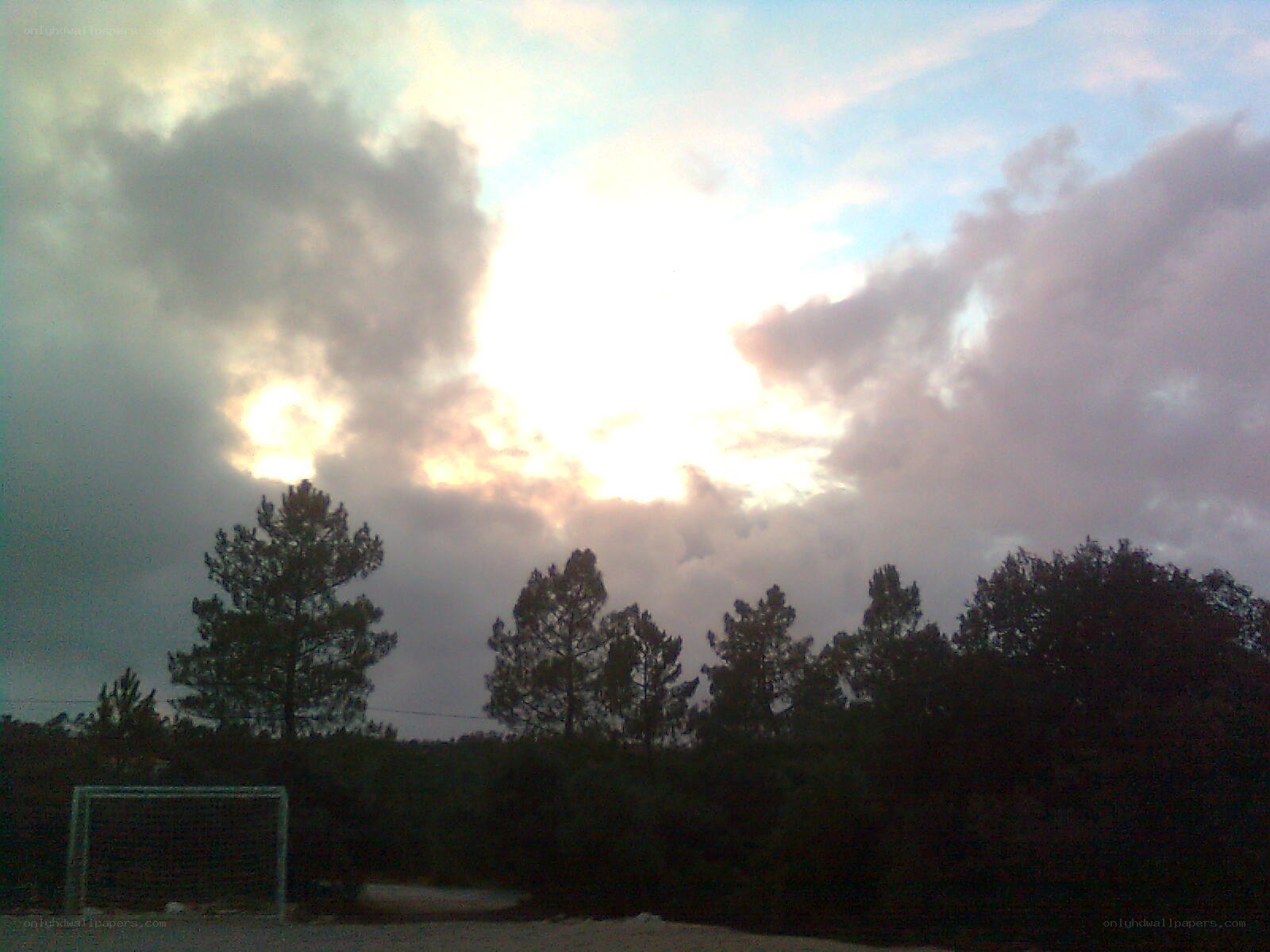 sunset over trees and goal