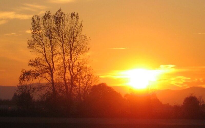 Sunset over trees and hills