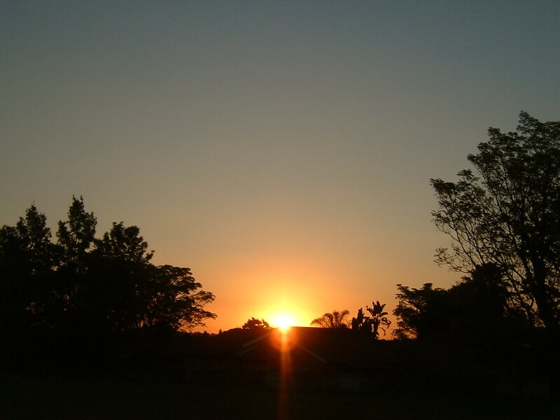 Sunset over trees and house