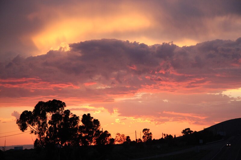 Sunset over Trees and Road