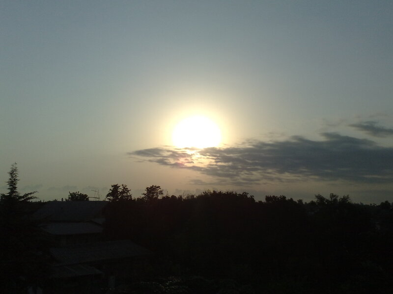 Sunset over trees and rooftops