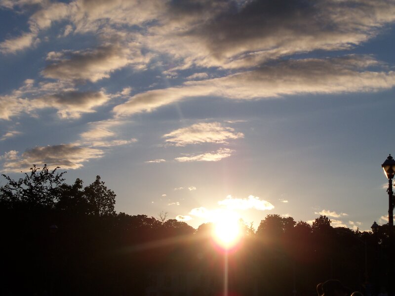Sunset over trees and streetlamp