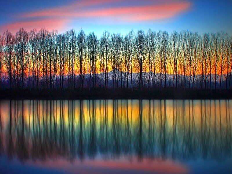 sunset over trees and water