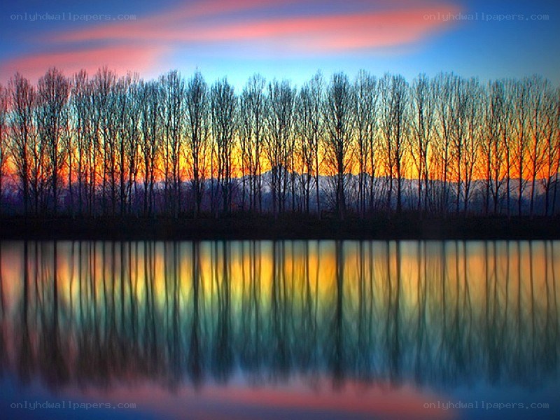 sunset over trees and water