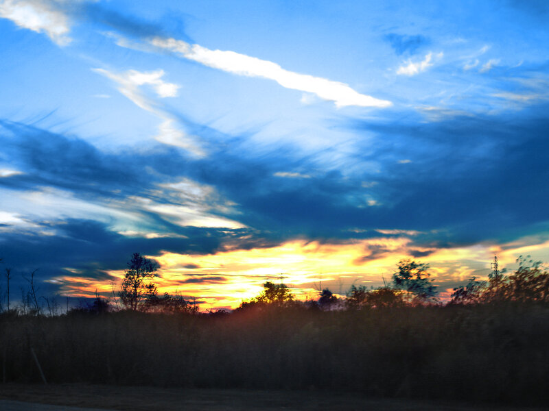Sunset over Trees — Blue, Dramatic, Photograph, Sky