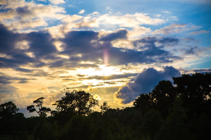 Sunset over Trees — Blue, Dramatic, Photograph