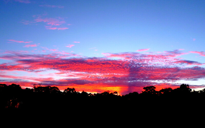 Sunset over Trees — Blue, Dramatic