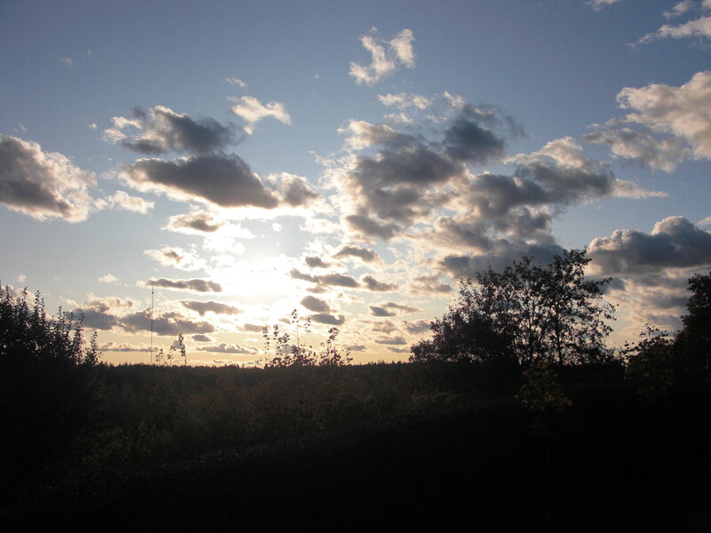 Sunset over Trees — Blue, Serene, Photograph, Clouds