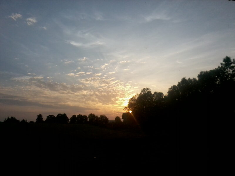 Sunset over Trees — Blue, Serene, Photograph