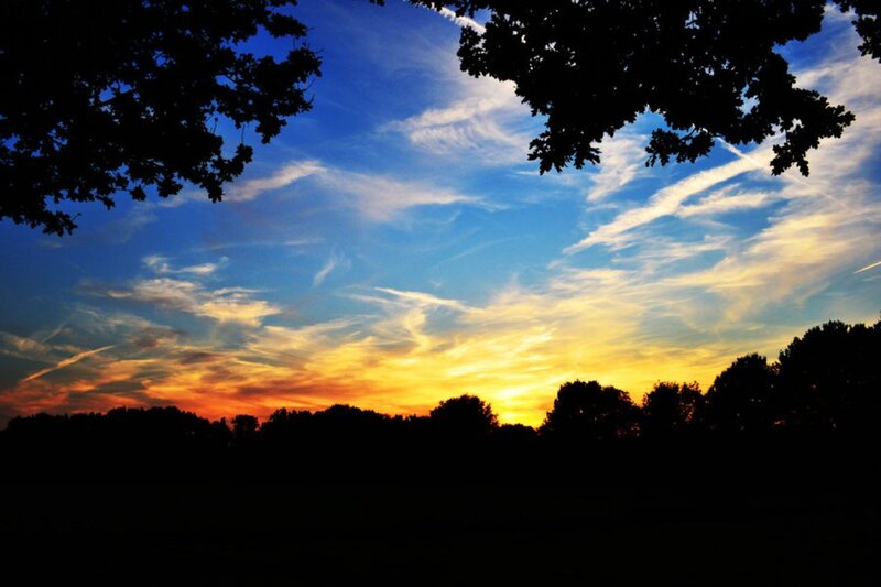 Sunset over Trees — Blue, Serene