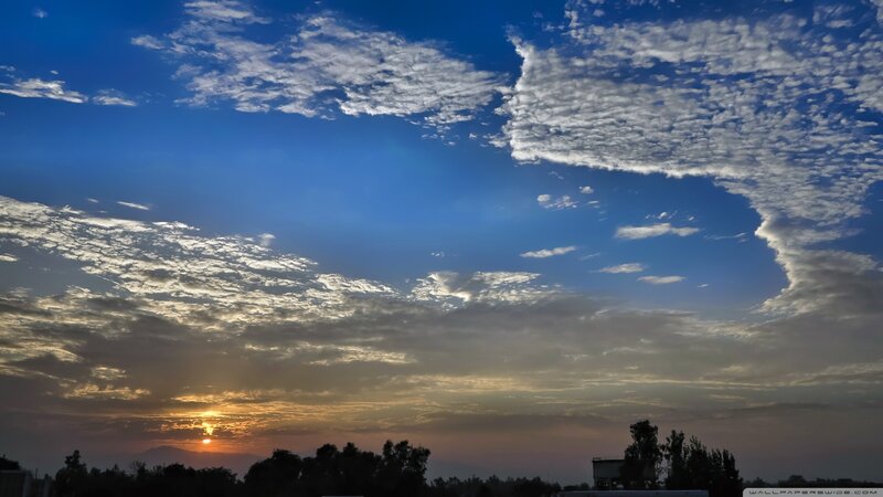 Sunset over Trees — Blue