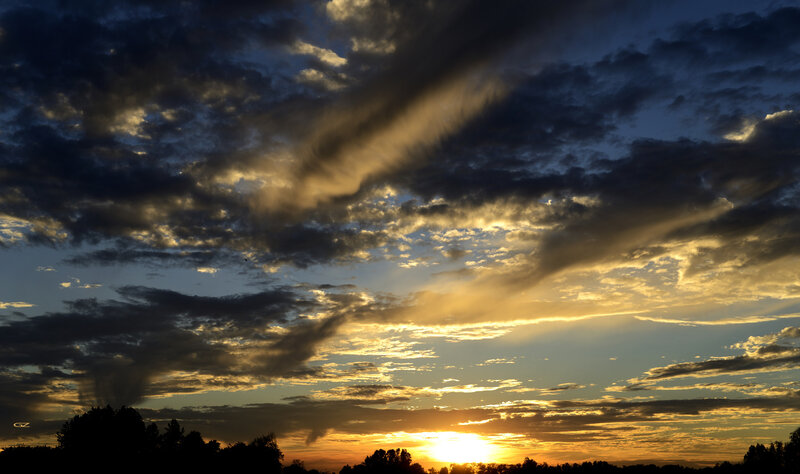 Sunset over Trees — Gold