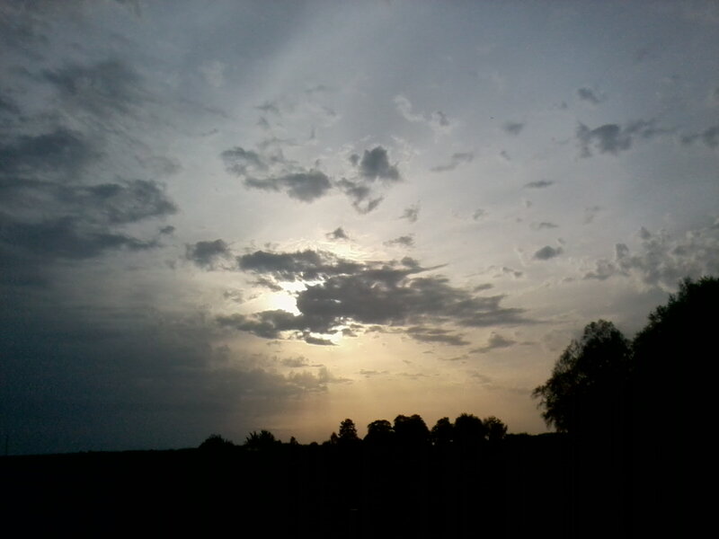 Sunset over Trees — Gray, Dramatic