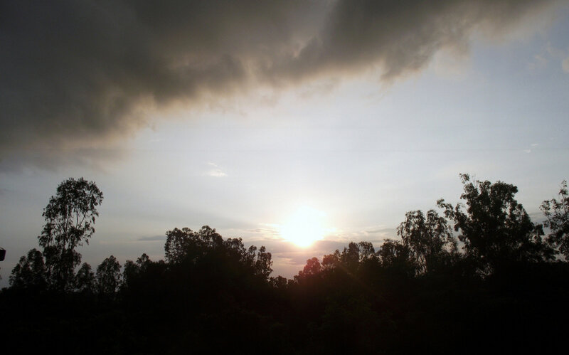 Sunset over Trees — Gray