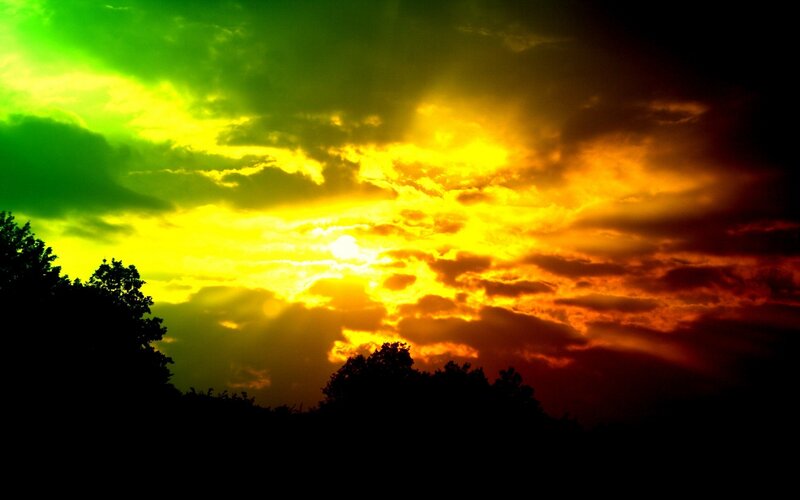 Sunset over Trees — Green, Dramatic