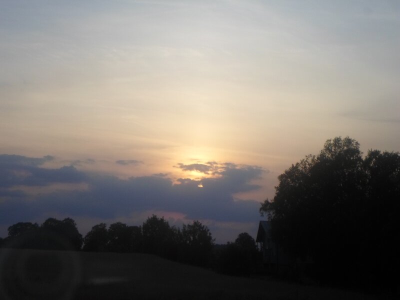 Sunset over Trees — Orange, Calm