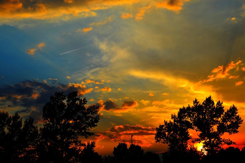 Sunset over Trees — Orange, Dramatic, Photograph, Clouds, Airplane Contrail