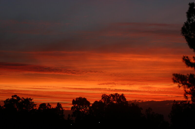 Sunset over Trees — Orange, Dramatic, Photograph, Clouds, Power Line