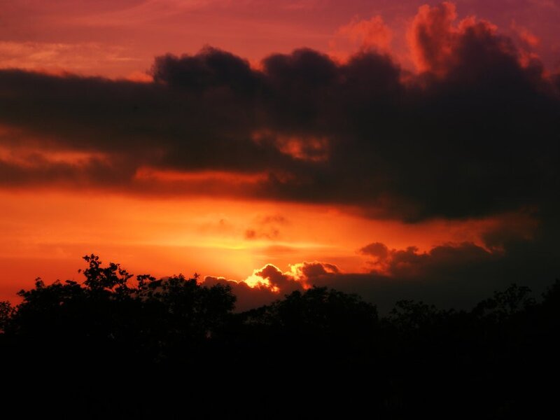 Sunset over Trees — Orange, Dramatic, Photograph, Clouds, Red