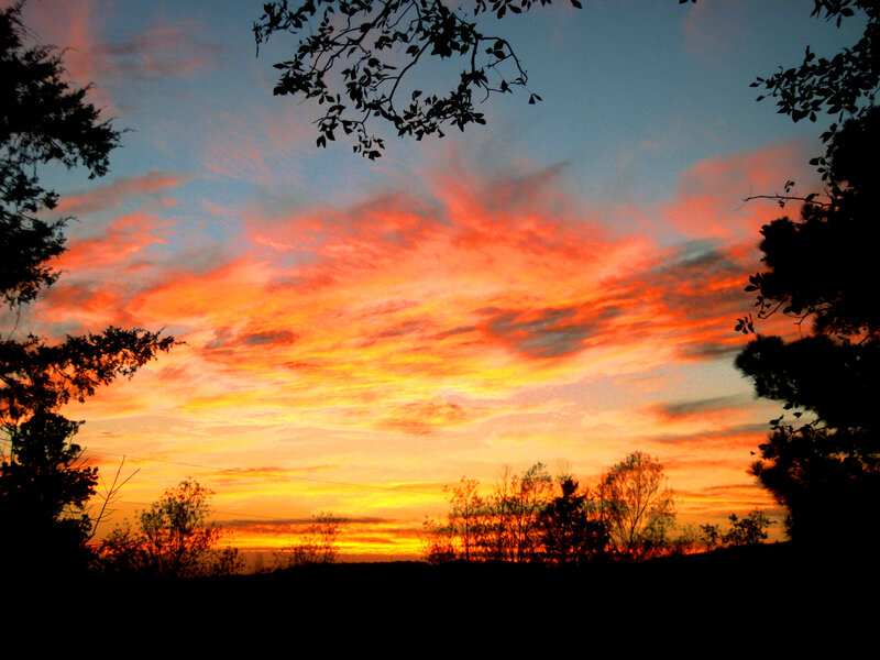Sunset over Trees — Orange, Dramatic, Photograph, Clouds, Sky