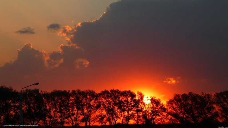Sunset over Trees — Orange, Dramatic, Photograph, Clouds, Street Light
