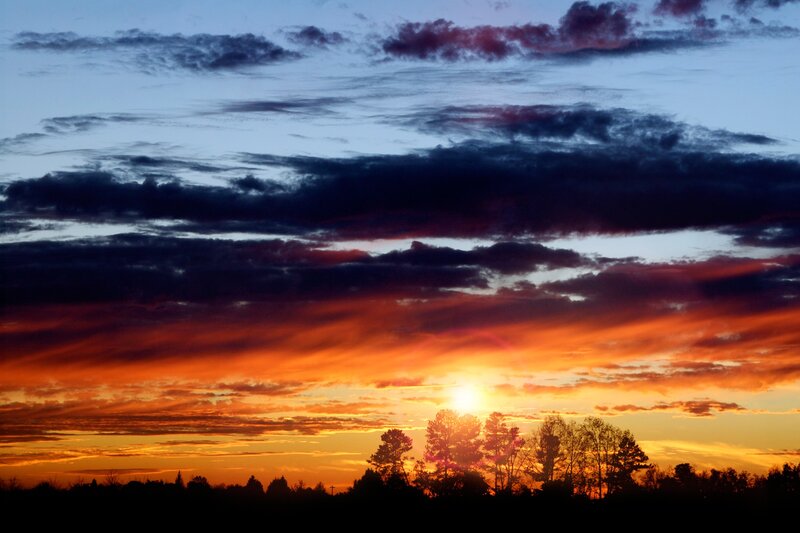 Sunset over Trees — Orange, Dramatic, Photograph, Clouds, Sun, Blue, Black