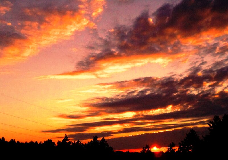 Sunset over Trees — Orange, Dramatic, Photograph, Clouds, Sun, Power Lines