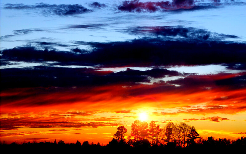 Sunset over Trees — Orange, Dramatic, Photograph, Clouds, Sun