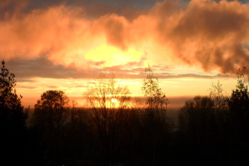 Sunset over Trees — Orange, Dramatic, Photograph, Clouds, Sun, Yellow
