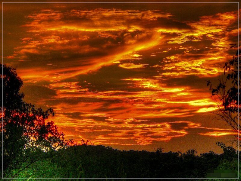 Sunset over Trees — Orange, Dramatic, Photograph, Clouds