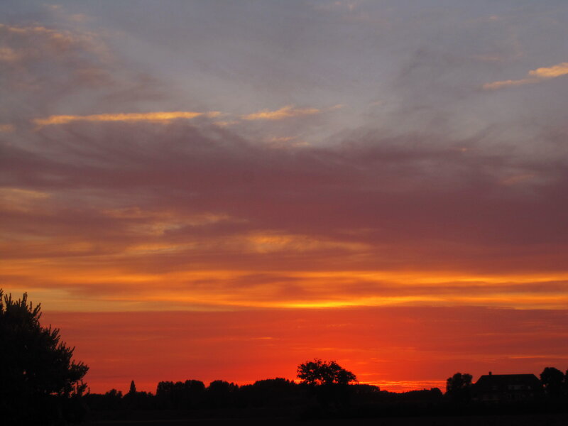 Sunset over Trees — Orange, Dramatic, Photograph, House