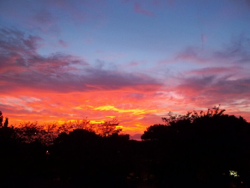 Sunset over Trees — Orange, Dramatic, Photograph, Sky, Clouds, Red, Blue