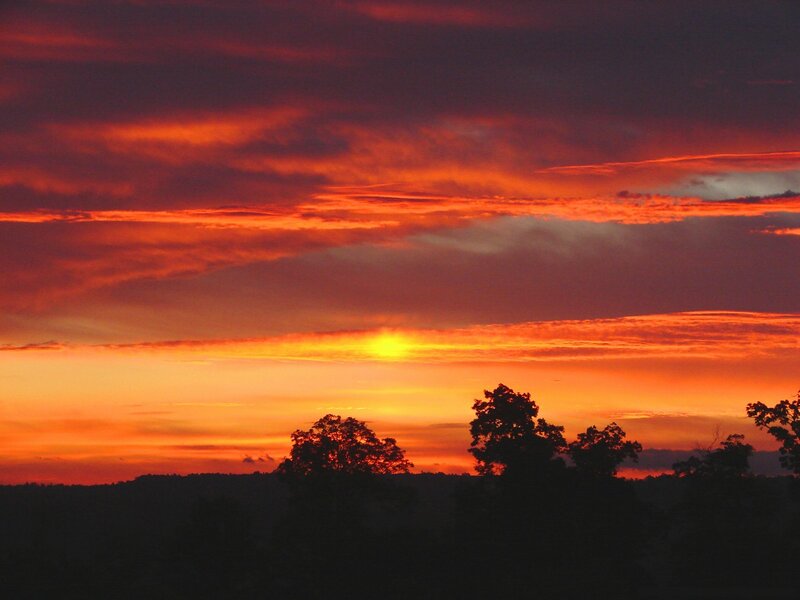 Sunset over Trees — Orange, Dramatic, Photograph, Sky, Clouds