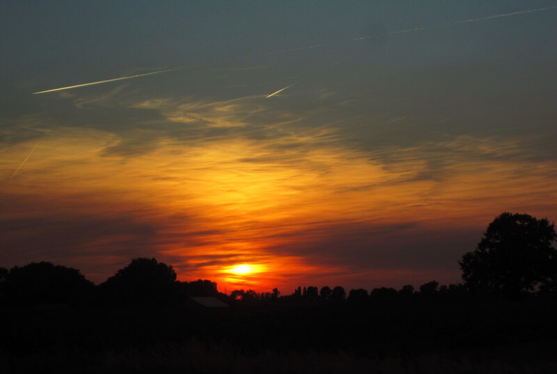 Sunset over Trees — Orange, Dramatic, Photograph, Sky, Sun