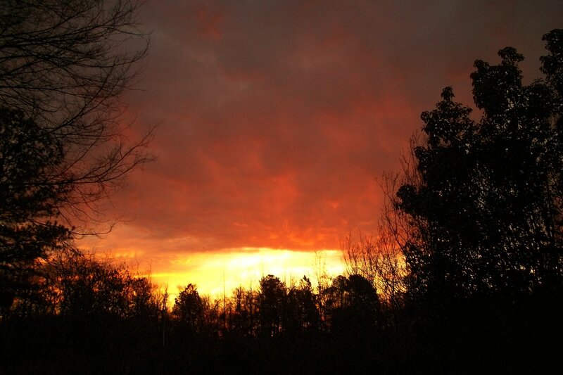 Sunset over Trees — Orange, Dramatic, Photograph, Sky