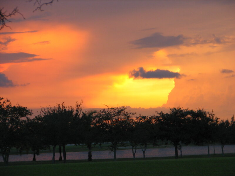 Sunset over Trees — Orange, Dramatic, Photograph, Sky, Water