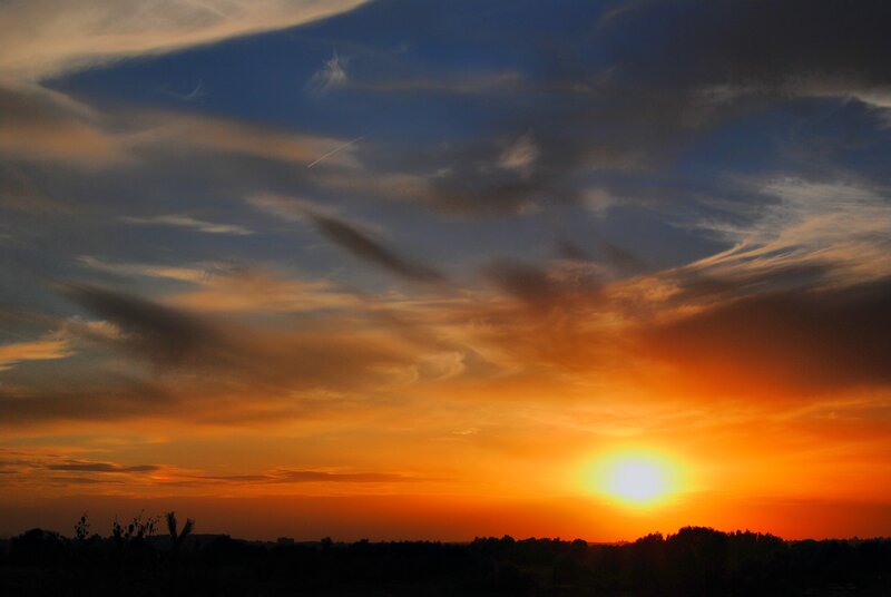 Sunset over Trees — Orange, Dramatic, Photograph, Sun, Clouds, Blue
