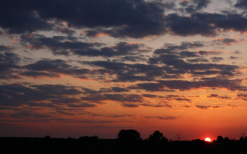 Sunset over Trees — Orange, Dramatic, Photograph, Sun, Clouds, Power Lines