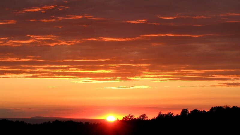 Sunset over Trees — Orange, Dramatic, Photograph, Sun, Clouds, Red