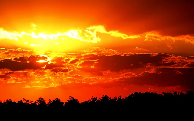 Sunset over Trees — Orange, Dramatic, Photograph, Sun, Clouds, Red, Yellow