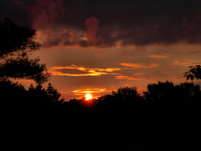 Sunset over Trees — Orange, Dramatic, Photograph, Sun, Clouds
