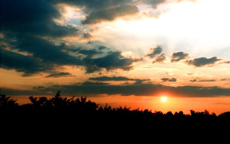Sunset over Trees — Orange, Dramatic, Photograph, Sun, Clouds, Yellow
