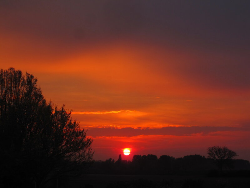 Sunset over Trees — Orange, Dramatic, Photograph, Sun, Sky