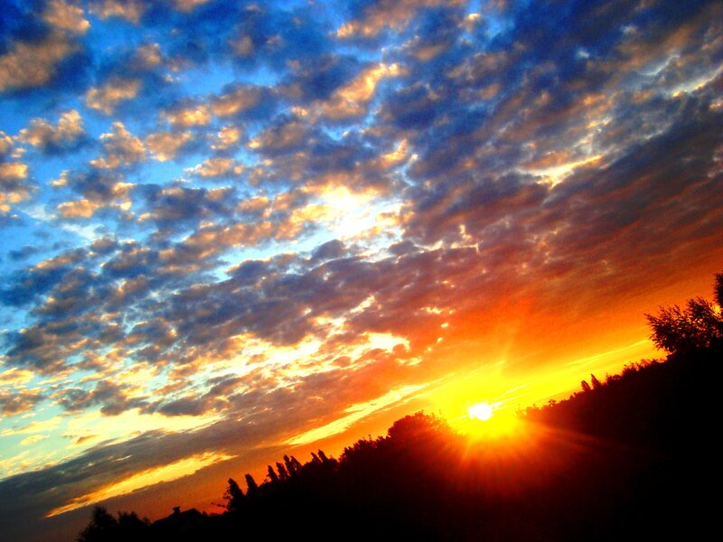Sunset over Trees — Orange, Dramatic, Photograph, Sun