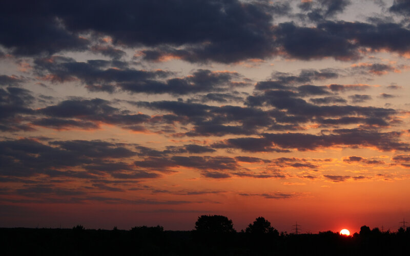 Sunset over Trees — Orange, Dramatic