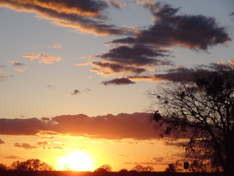 Sunset over Trees — Orange, Serene, Photograph, Clouds, Sign