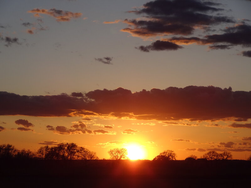 Sunset over Trees — Orange, Serene, Photograph, Clouds, Sun