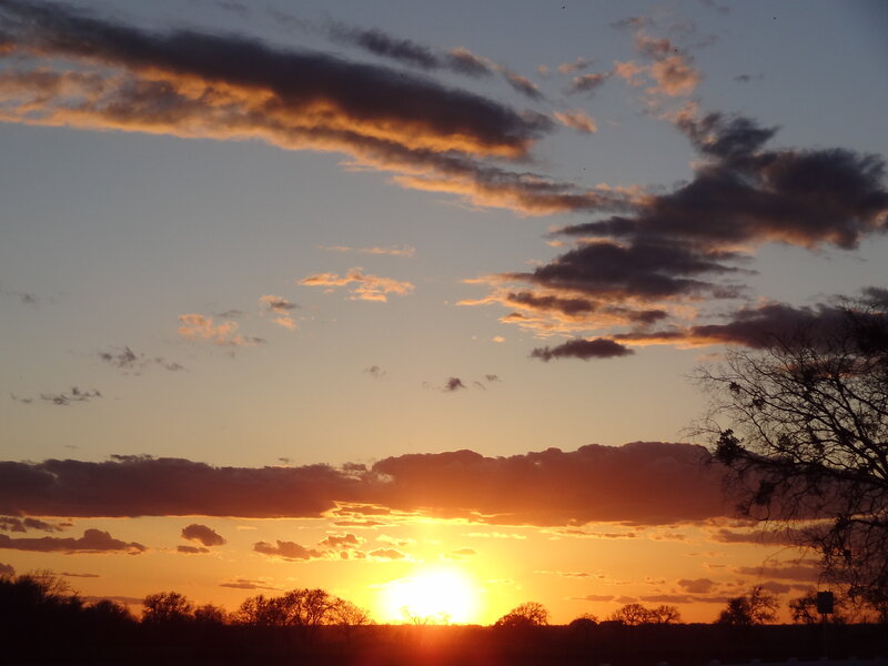 Sunset over Trees — Orange, Serene, Photograph, Clouds